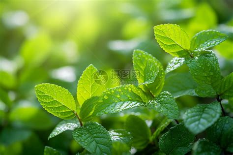 办公室风水布局法,2022年常用的办公室的布局,第3张 办公室风水布局法,2022年常用的办公室的布局,第3张